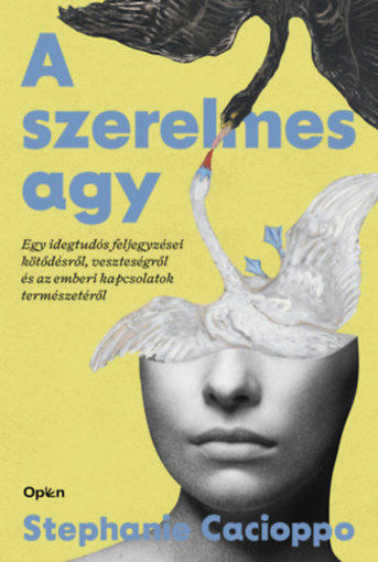 A szerelmes agy termékhez kapcsolódó kép