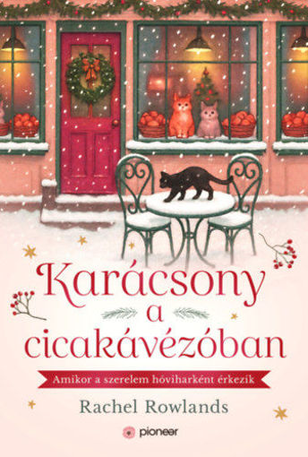 Karácsony a cicakávézóban termékhez kapcsolódó kép