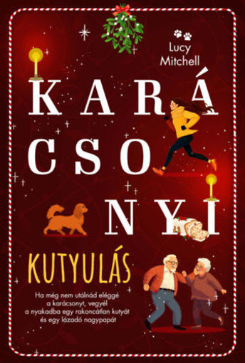 Karácsonyi kutyulás termékhez kapcsolódó kép