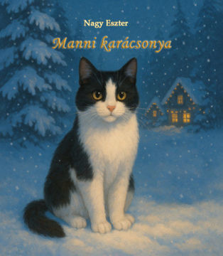 Manni karácsonya termékhez kapcsolódó kép