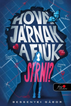 Hová járnak a fiúk sírni? termékhez kapcsolódó kép