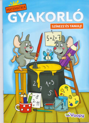 Matematikai Gyakorló -Színezz és tanulj termékhez kapcsolódó kép