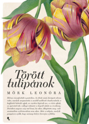 Törött tulipánok - új kiadás termékhez kapcsolódó kép