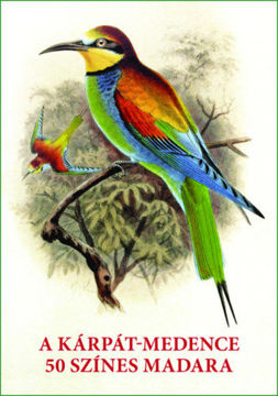 A Kárpát-medence 50 színes madara - Madarak egész oldalas képei és leírásai termékhez kapcsolódó kép