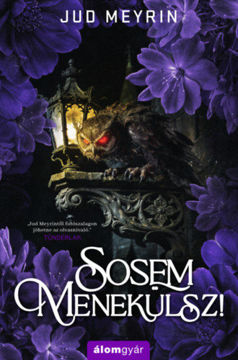 Sosem menekülsz! - (Különleges kiadás) termékhez kapcsolódó kép