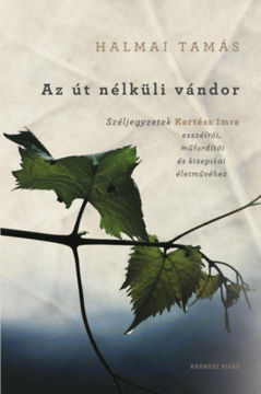 Az út nélküli vándor - Széljegyzetek Kertész Imre esszéírói, műfordítói és kisepikai életművéhez termékhez kapcsolódó kép