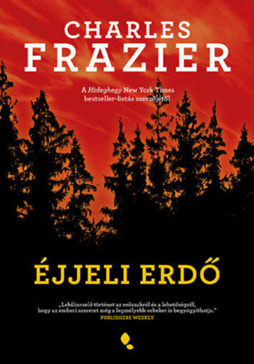 Éjjeli erdő termékhez kapcsolódó kép