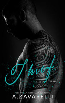 Thief - Tolvaj - Boston alvilág V. termékhez kapcsolódó kép