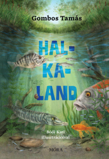Halkaland termékhez kapcsolódó kép