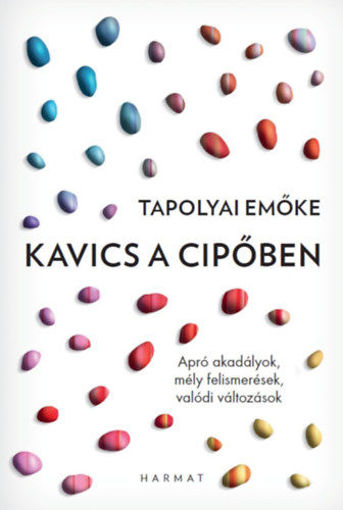 Kavics a cipőben - Apró akadályok, mély felismerések, valódi változások termékhez kapcsolódó kép