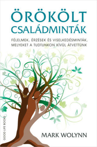 Örökölt családminták - Félelmek, érzések és viselkedésminták, melyeket a tudtunkon kívül átvettünk termékhez kapcsolódó kép