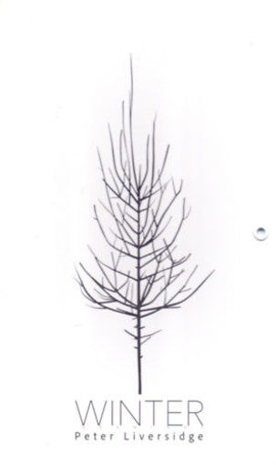 Winter - Művészeti leporelló babáknak termékhez kapcsolódó kép