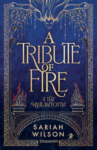 The Tribute of Fire - A tűz kiválasztottja termékhez kapcsolódó kép