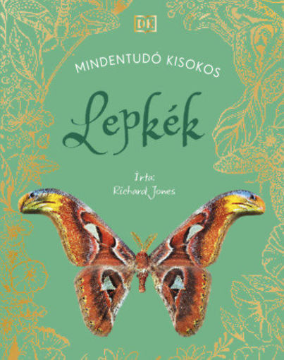 MINDENTUDÓ KISOKOS - Lepkék termékhez kapcsolódó kép