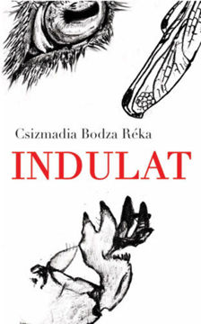 Indulat termékhez kapcsolódó kép