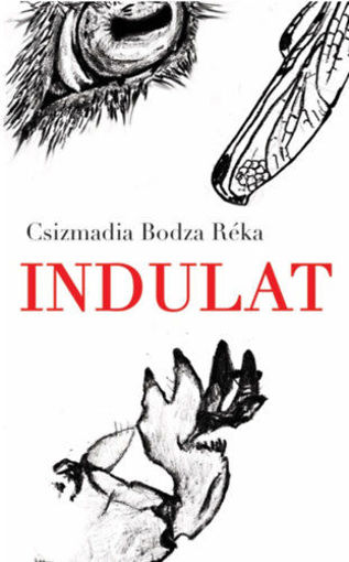 Indulat termékhez kapcsolódó kép