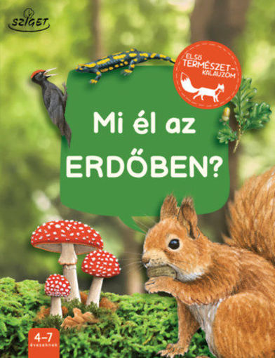 Mi él az erdőben? termékhez kapcsolódó kép
