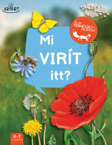 Mi virít itt? termékhez kapcsolódó kép