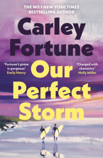 Our Perfect Storm - Paperback termékhez kapcsolódó kép