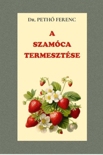 A szamóca termesztése termékhez kapcsolódó kép
