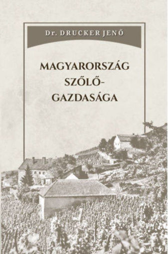 Magyarország szőlőgazdasága termékhez kapcsolódó kép