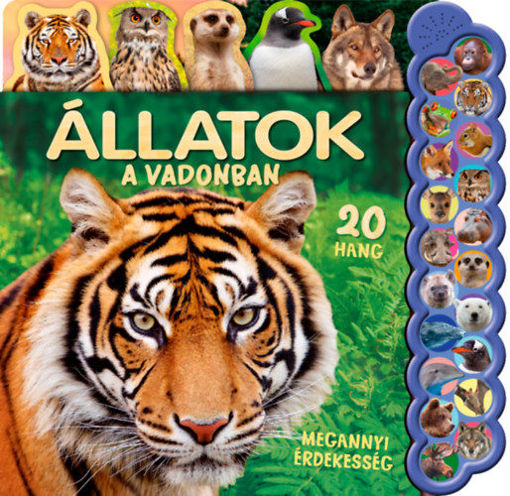 20 hang - Állatok a vadonban termékhez kapcsolódó kép