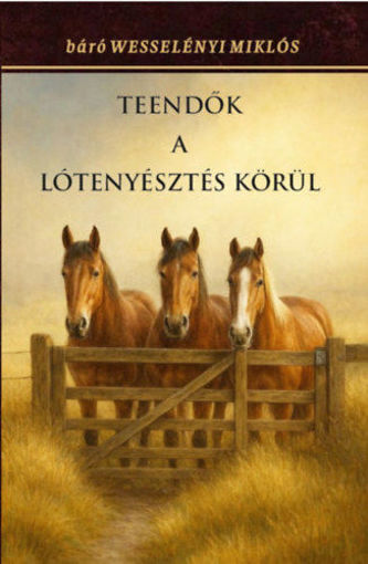 Teendők a lótenyésztés körül termékhez kapcsolódó kép