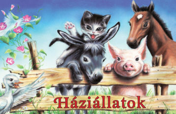 Háziállatok termékhez kapcsolódó kép