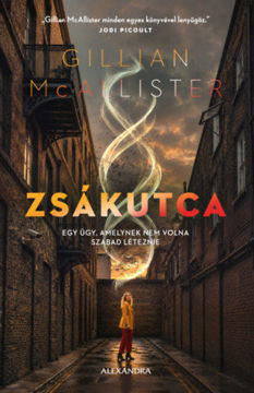 Zsákutca termékhez kapcsolódó kép